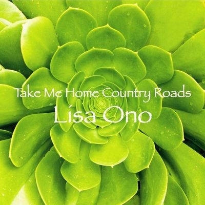 Take Me Home Country Roads 鄉間小路 帶我回家 專輯封面