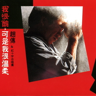 我很醜,可是我很溫柔