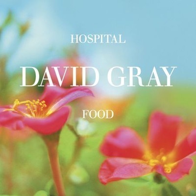 Hospital Food (Radio Edit)