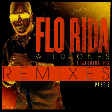 Wild Ones (feat. Sia) (J.O.B Remix)