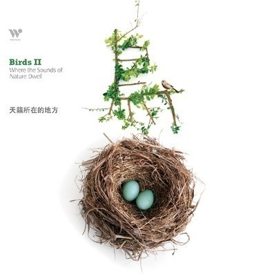 鳥II-天籟所在的地方