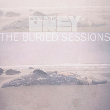 The Buried Sessions of Skylar Grey 專輯封面