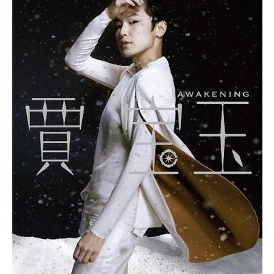 Awakening 賈寶玉 紀念國語大碟 專輯封面