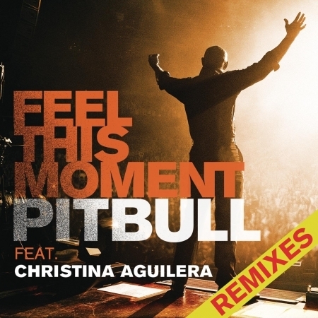 Feel This Moment Remixes (feat. Christina Aguilera) 專輯封面
