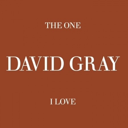 The One I Love (Album Version)