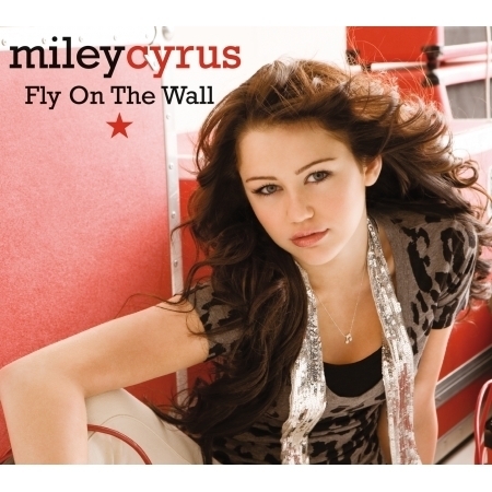 Fly On The Wall (2 Track Single)