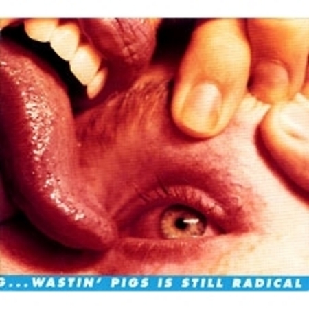 Wastin' Pigs (Internet Maxi Single)