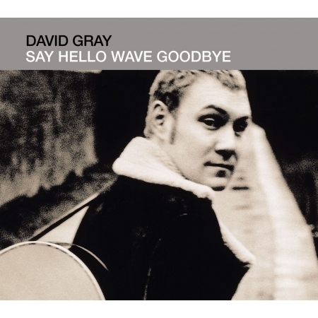 Say Hello, Wave Goodbye