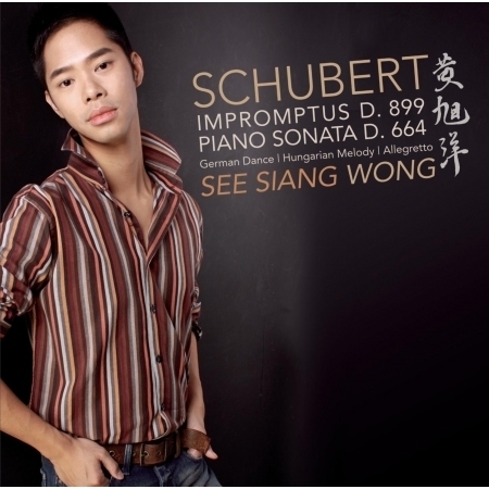 Impromptus, D 899 (Op. 90): I. Allegro molto moderato in C minor