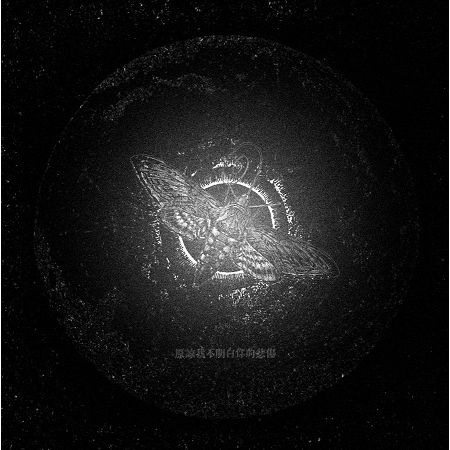 原諒我不明白你的悲傷