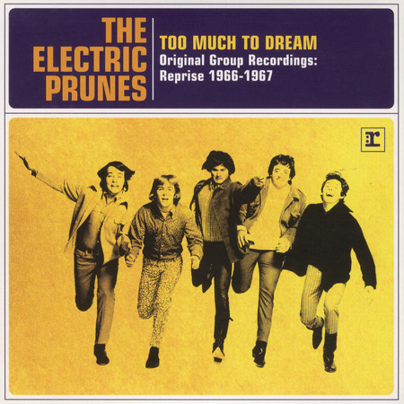 Too Much To Dream - Original Group Recordings: Reprise 1966-1967