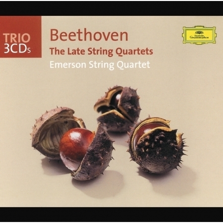 Beethoven: String Quartet No. 14 in C-Sharp Minor, Op. 131: VI. Adagio quasi un poco andante