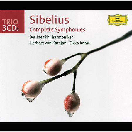 Sibelius: 交響曲 第5番 変ホ長調 作品82 - 第1楽章: Tempo molto moderato - Largamente -