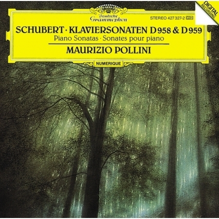 Schubert: ピアノ・ソナタ 第19番 ハ短調 D.958 - 第1楽章: Allegro