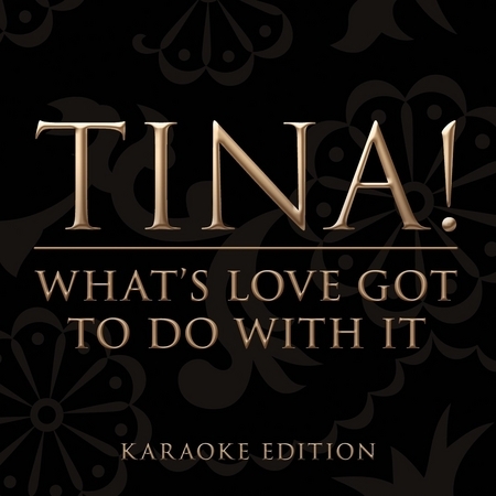 What's Love Got To Do With It (Karaoke Version)