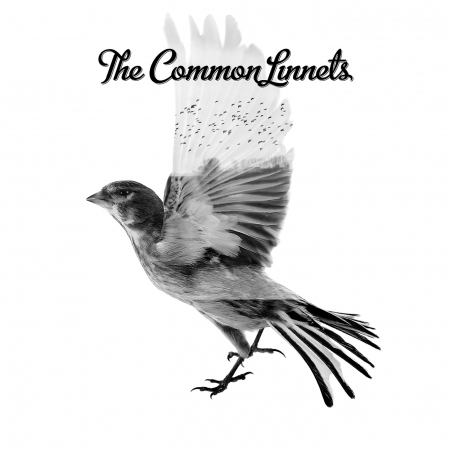The Common Linnets 同名專輯