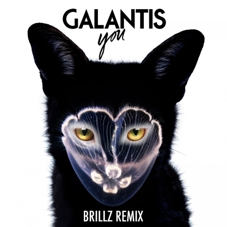 You (Brillz Remix)