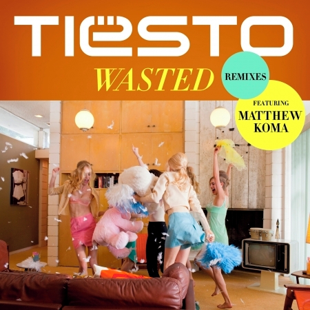 Wasted (feat. Matthew Koma) [TST Remix]