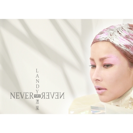 Never Say Never 專輯封面