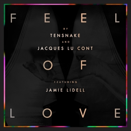 Feel Of Love