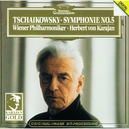 Tchaikovsky: Symphony No. 5 in E Minor, Op. 64 - I. Andante – Allegro con anima