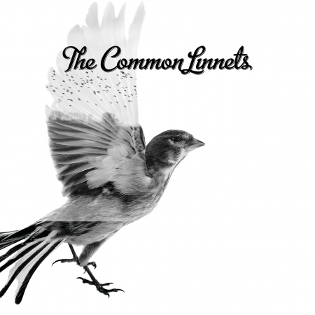 The Common Linnets 專輯封面