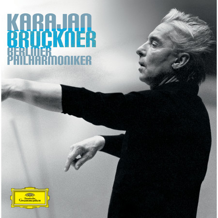 Bruckner: 9 Symphonies 專輯封面