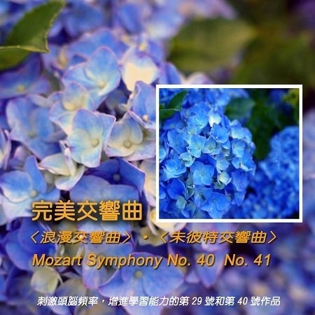 莫札特．g小調第40號交響曲第四樂章〈浪漫交響曲〉