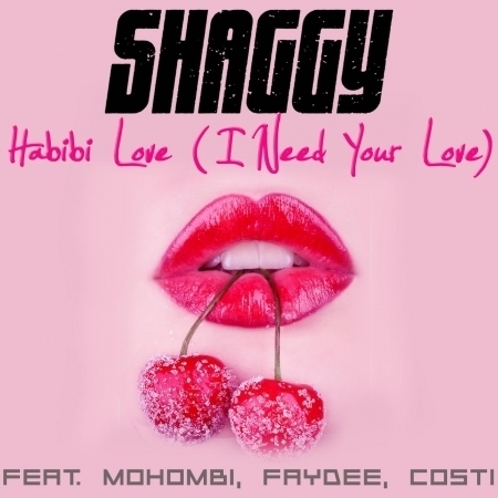 Habbi Love (I Need Your Love) [feat. Mohombi, Faydee, Costi] 專輯封面