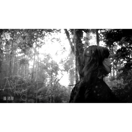 我等到花兒也謝了