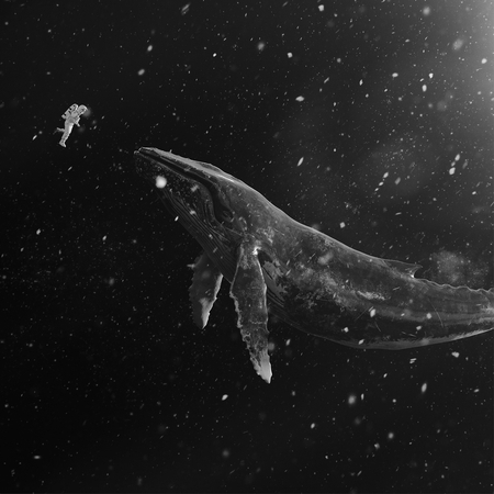 冬季特別專輯『Sing For You』(韓文版)