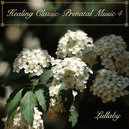 夢遊花園 / 自然˙紓壓˙古典