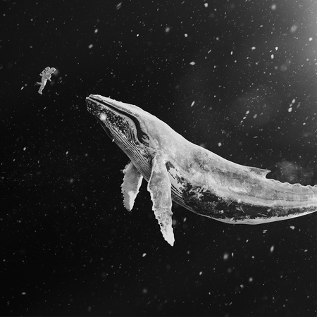 冬季特別專輯『Sing For You』(中文版)