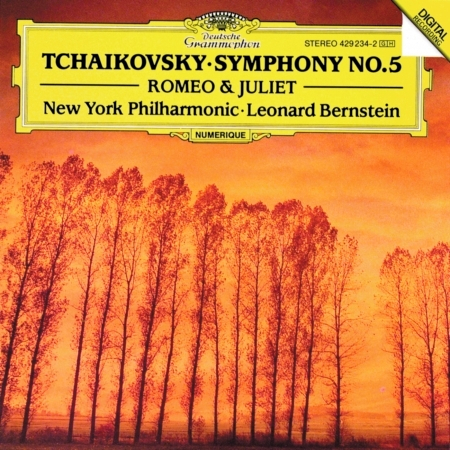 Tchaikovsky: Symphony No.5 In E Minor, Op.64 - 1. Andante - Allegro con anima