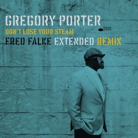 Don’t Lose Your Steam
                    Fred Falke Extended Remix