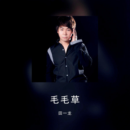 毛毛草