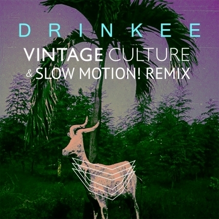 Drinkee (Vintage Culture & Slow Motion! Remix) 專輯封面
