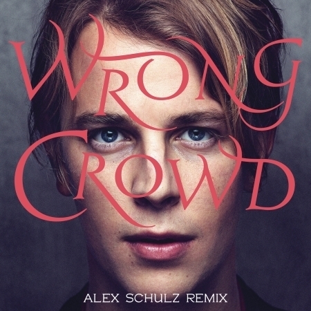 Wrong Crowd (Alex Schulz Remix)