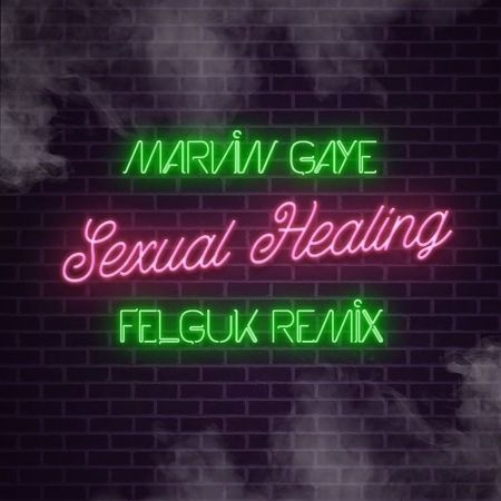 Sexual Healing (Felguk Remix)