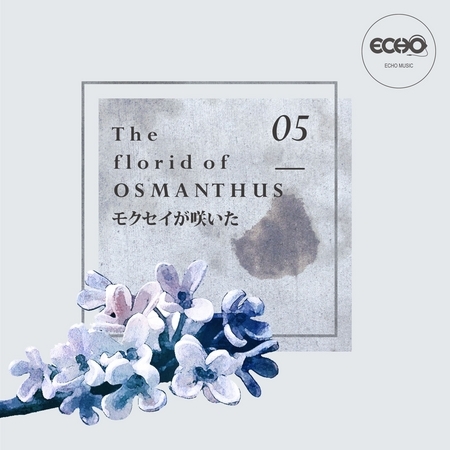 花語 : 桂花 The florid of Osmanthus