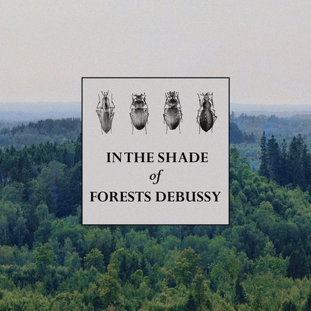 森林裡的德布西 In the Shade of Forests Debussy