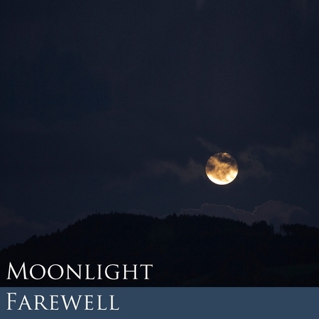 Moonlight Farewell 月光道別 專輯封面