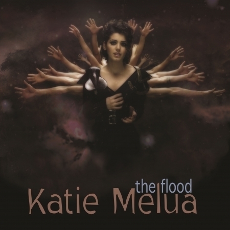 The Flood (Remixes)