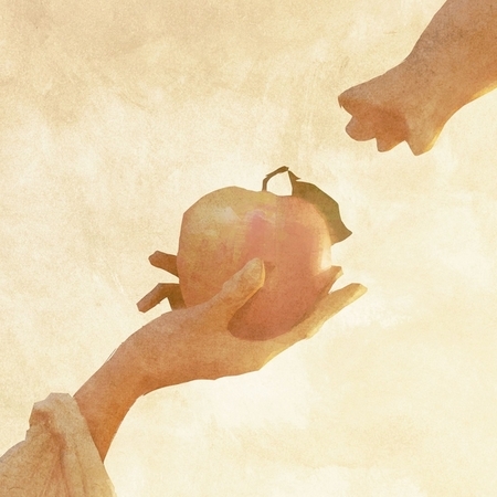 蘋果樹  / 來自外太空的Nyanbo 專輯封面
