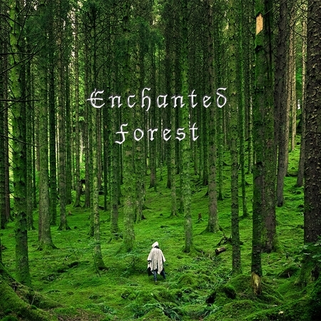 Enchanted Forest 魔幻森林 專輯封面