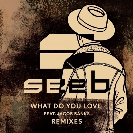 What Do You Love (Zonderling Remix)