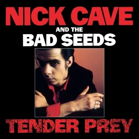 Tender Prey (2010 Remastered Version)