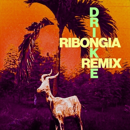 Drinkee (Ribonga Remix)