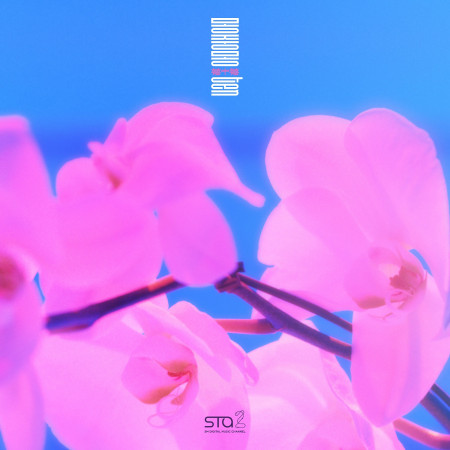 夢中夢(Dream In A Dream)