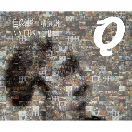 自然捲精選輯